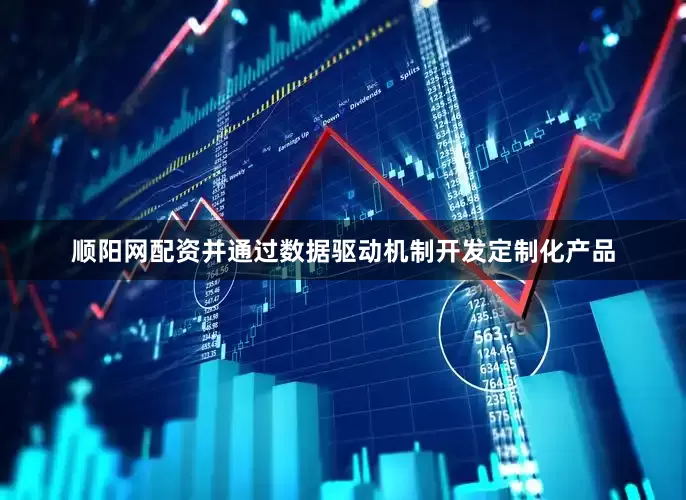 顺阳网配资并通过数据驱动机制开发定制化产品