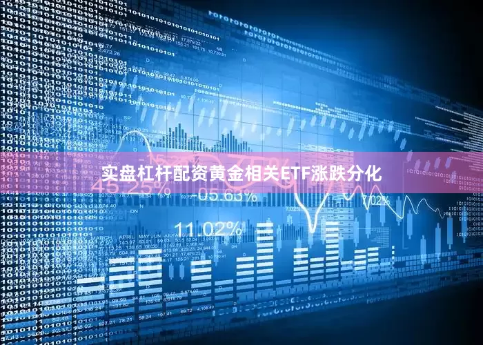 实盘杠杆配资黄金相关ETF涨跌分化