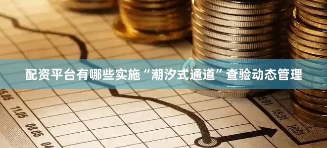 配资平台有哪些实施“潮汐式通道”查验动态管理