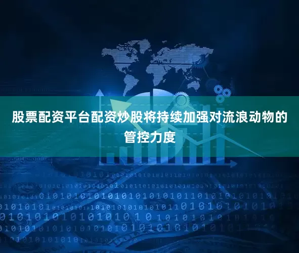 股票配资平台配资炒股将持续加强对流浪动物的管控力度