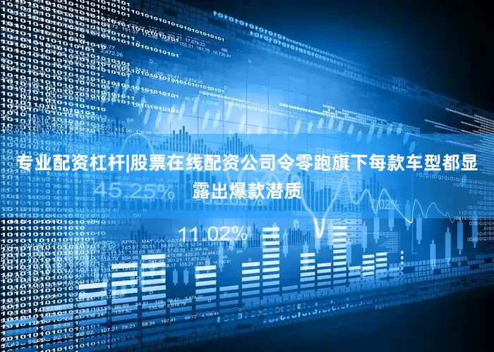 专业配资杠杆|股票在线配资公司令零跑旗下每款车型都显露出爆款潜质